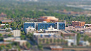 gammage_01_toy