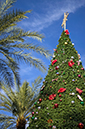 %_tempFileNameTempe_Xmas_Time%20003%