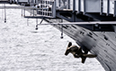 %_tempFileNameSD%20USS%20Midway%20150%