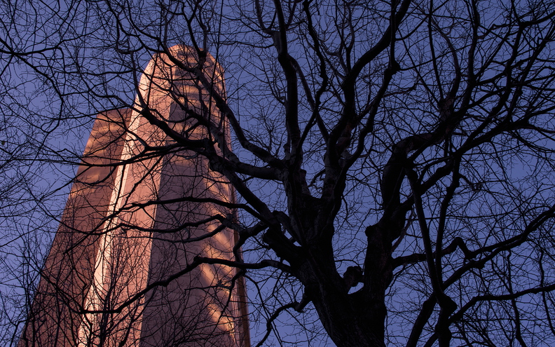 Boston_trees_winter_concrete_color.jpg