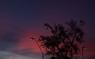 Sunset Colors with Streetlights s