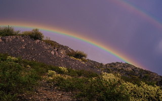 Rainbow over cacti