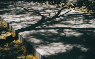 Shadows on Concrete at Noon 01