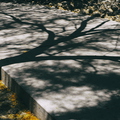 Shadows_on_Concrete_at_Noon_01.jpg