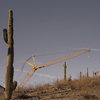 Saguaro Cactus Panorama Construction Crane 02 2k