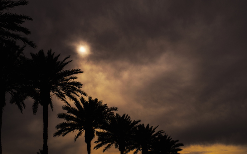 Sun_through_clouds_palm_trees_01.jpg
