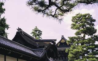 Kyoto Ryukokuzan Hongwanji Temple Pine Trees
