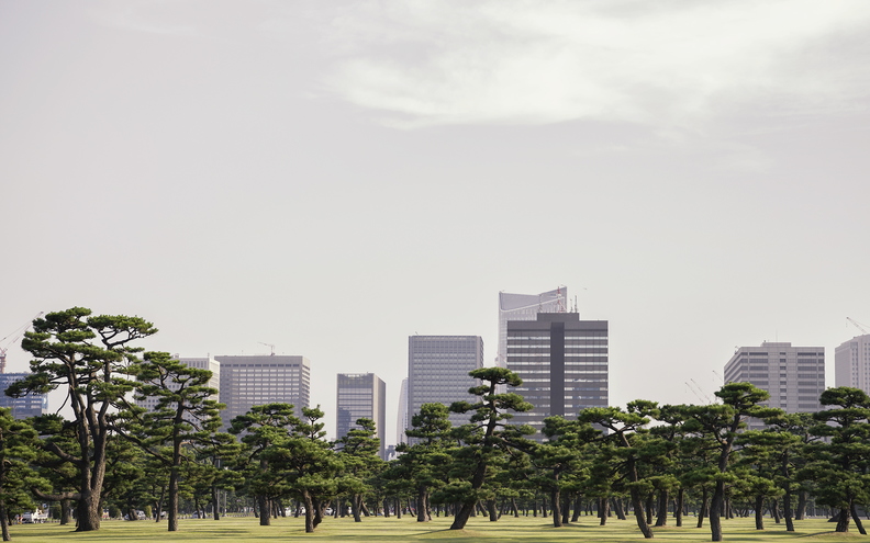 Tokyo_Skyline_Trees_02.jpg