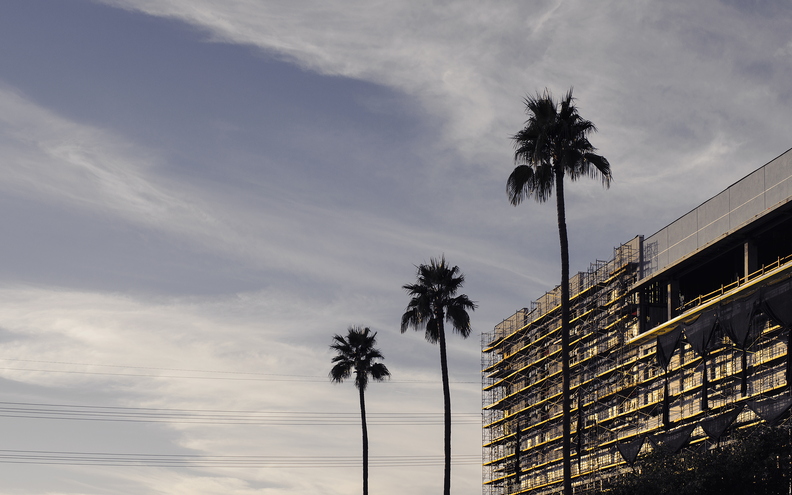 Tempe_Late_December_Construction_with_Palm_Trees.jpg