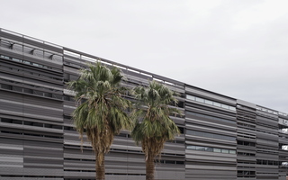 Tempe ASU College Avenue Architecture Colors Metal Winter Palm Tree