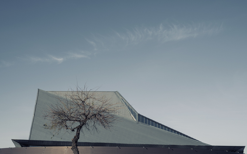 Tempe_Center_for_the_Arts_Winter_Tree_Cloud_Afternoon.jpg