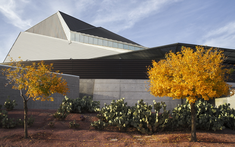 A_Winter_Day_Tempe_Center_for_the_Arts_2_Trees_Foliage_Cactus.jpg