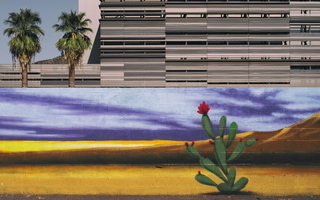 Downtown Tempe Desert Mural 2 Palm trees Cactus Building