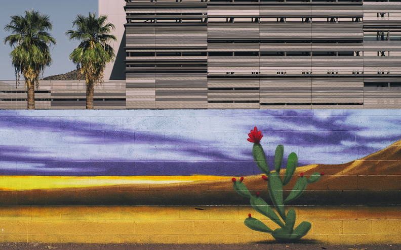 Downtown_Tempe_Desert_Mural_2_Palm_trees_Cactus_Building.jpg