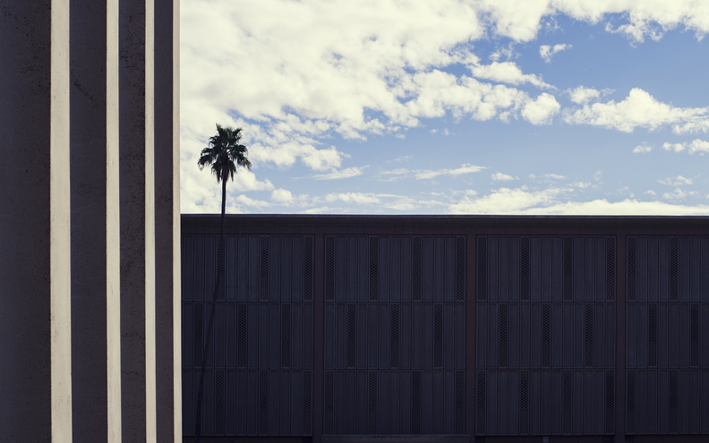 Downtown_Tempe_February_29_Buildings_One_Palm_Tree.jpg