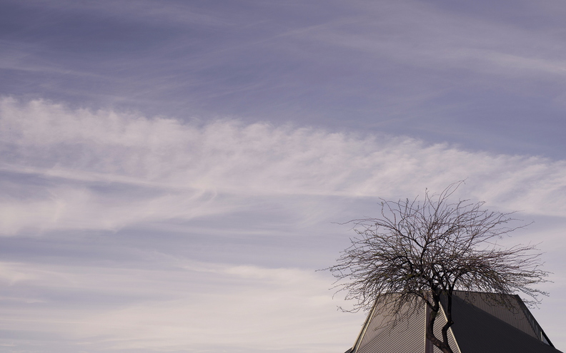 A_Different_Spring_Tempe_Center_for_the_Arts_Tree_Sky.jpg