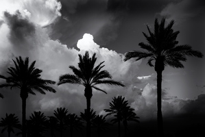 Colorless Desert Summer Cloud Impression