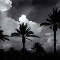 Colorless_Desert_Summer_Cloud_Impression.jpg