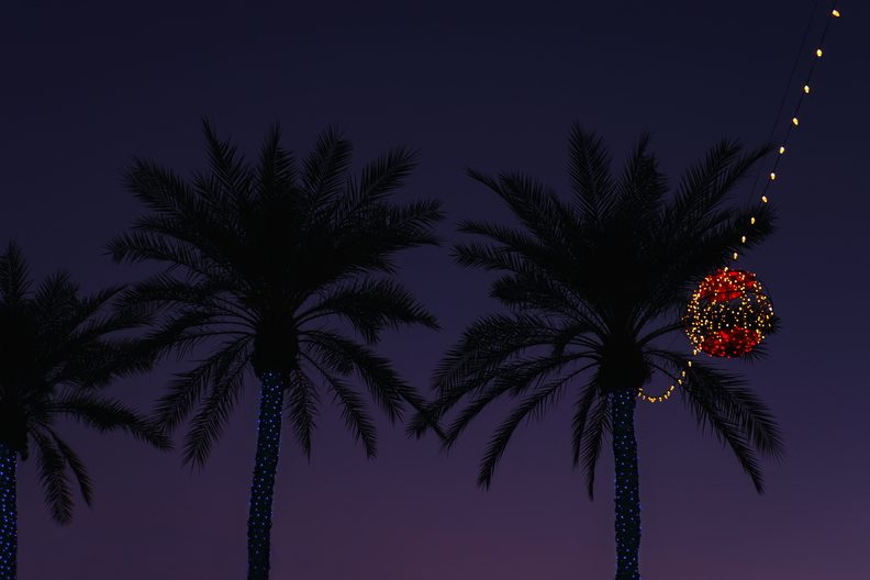 Morning_Christmas_Lights_Palm_Trees_Globe.jpg