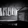 Tempe_Night_The_Shop_Beer_Co_Back.jpg