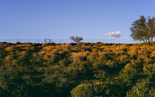 Tempe Winter Desert Cloud Fence