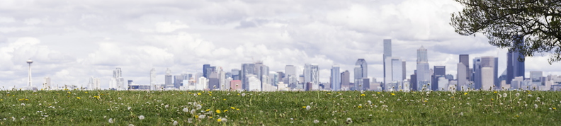 Seattle_Panorama_from_West_Seattle_Spring_Lawn_4k.jpg