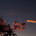 Last_September_Day_Sunset_Clouds_Palm_Trees.jpg