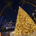Solstice_of_a_Thousand_Stars_Christmas_Tree.jpg