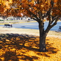 Tempe_Winter_Basketball_Courts_Color.jpg