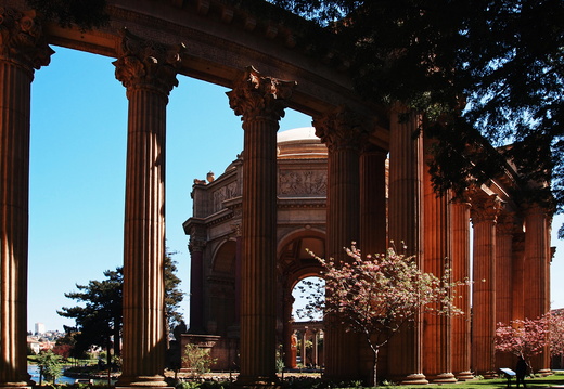 San Francisco Palace of Fine Arts Spring 2011 1