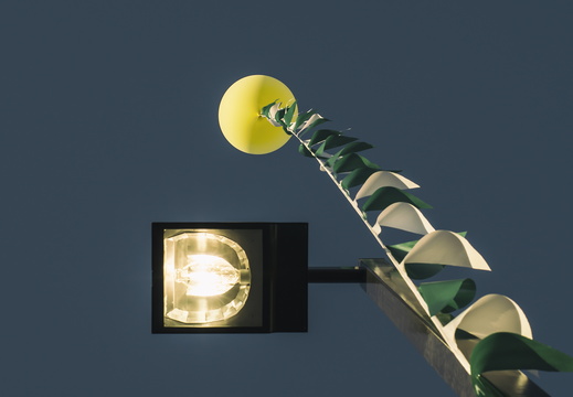 Tempe Arizona photography city scenes Balloon flags street light