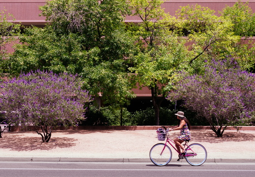 Tempe Arizona photography city scenes spring biker