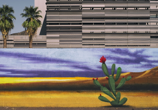 Downtown Tempe Desert Mural 2 Palm trees Cactus Building