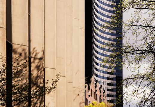 Seattle Spring Columbia Center Urban Elements