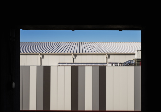 Tempe February Saturday ASU Mullet Arena window