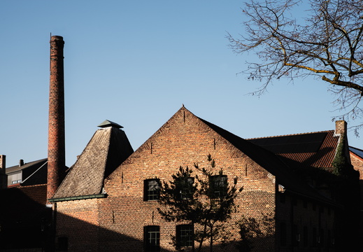 Hasselt Jenevermuseum Witte Nonnenstraat